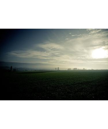 Country Coffee Trial Package - Central America | 5 x 500g Whole Beans from Honduras Guatemala Mexico Costa Rica & Nicaragua - Buy Now! - Buy Online on SooperMarket.com