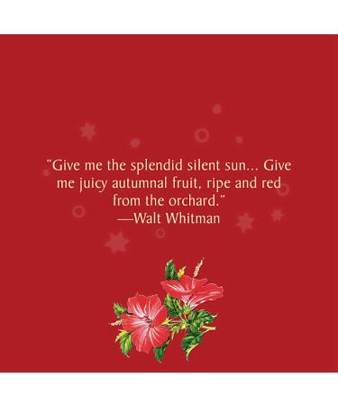 Celestial Seasonings Red Zinger Herbal Tea - Caffeine Free, 20 Tea Bags x 6 Packs - Buy Online on SooperMarket.com