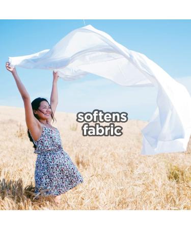 HOME VICTORY Outdoor Scented Dryer Sheets - 480 Count Fabric Softener Sheets - Reduces Wrinkles, Controls Static, Softens Fabric - Pack of 1 - Buy Online on SooperMarket.com