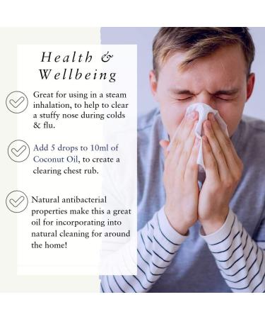 Absolute Aromas Organic Eucalyptus Essential Oil 10ml - 100% Pure & Natural for Diffusers - Cruelty-Free - Aromatherapy Blend - Pack of 1 - Buy Online on SooperMarket.com