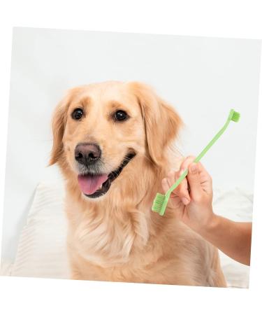 GANAZONO 3 Sets Pet Toothbrush Toothpaste for Dogs Green Dog Toothbrush Pet Mouth Cleaning Tool Tools Pp - Buy Online on SooperMarket.com