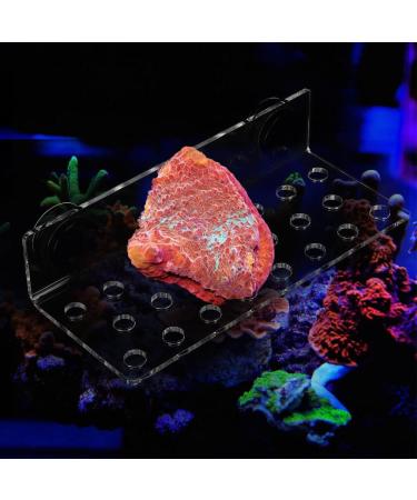 Cikonielf Magnetic Acrylic Coral Rack Holder - 32 Hole Transparent Aquarium Coral Question Holder - Buy Online on SooperMarket.com