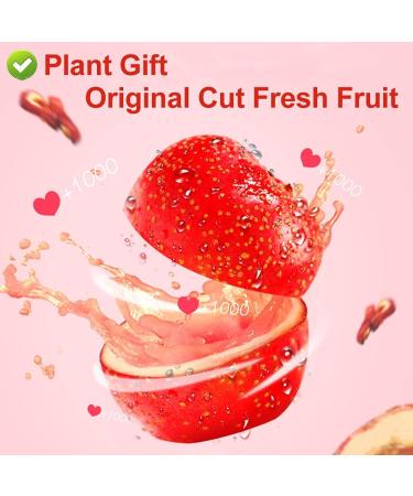 PlantGift Hawthorn Berry 80G/2.82oz China Medicinal Herb (Shanzha/Dried Hawthorne) Dried Bulk Health Tea Hawthorn Berries - Buy Online on SooperMarket.com