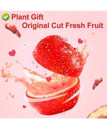 Buy Dried Hawthorn Berries (Shaanzha) - 80g Plant Gift for Health Tea | International Shipping - Buy Online on SooperMarket.com