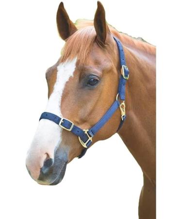 Shires Adjustable Pony/Horse Headcollar - Black Full Navy Full - Buy Online on SooperMarket.com