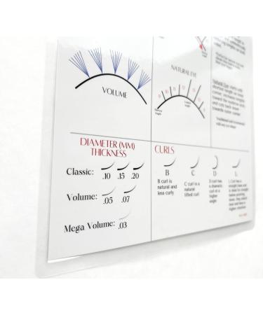 BELLEMORY Lash Mapping Chart for Eyelash Extension Training - Beginner Practice Chart with Curl and Diameter Guide - 1 PC - Buy Online on SooperMarket.com