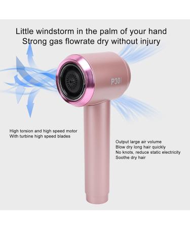 Portable Blow Dryer Rechargeable Hair Dryer with Temperature Control Cold and Hot Wind Adjustable Speed Hair Care for Home Travel (US Plug 100-240V) - Buy Online on SooperMarket.com