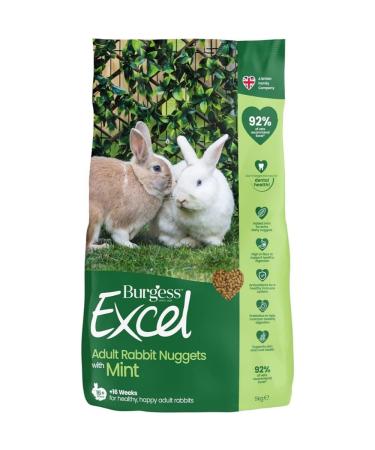 Excel Rabbit Food Green 9 kg (Pack of 1) Mint 9 kg (Pack of 1)