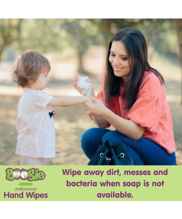 Boogie Wipes Hand Sanitizer Wipes - Alcohol-Free, Hypoallergenic Moisturizing Aloe - 30 Wipes (Pack of 1) - Buy Online on SooperMarket.com