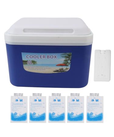 Insulin Cooler Box 5L Portable Insulin Cooling Travel Bin for Outdoor Medicition Food (Blue)