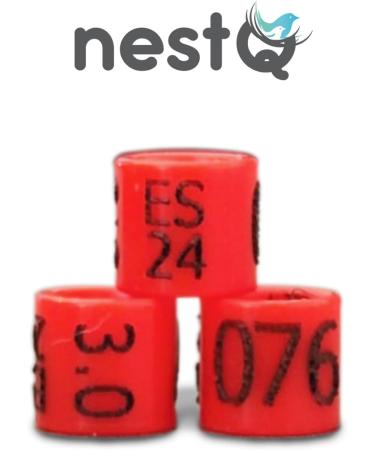NestQ Rings Canary 2024 Federative Red Polychrome Laser Engraved Closed 3mm Numbered with Year Marked 1 Strip 25 Rings - Buy Online on SooperMarket.com