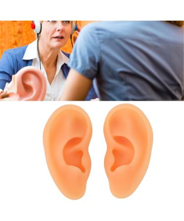 Kadimendium Human Ear Acupuncture Model - 2 Pieces for Training - Buy Online on SooperMarket.com