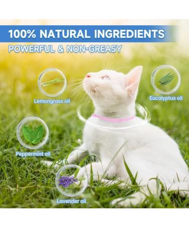 Woyamay Cat Repellent Collars Luminous Safety Glow Cat Repellent Collars Adjustable Water Resistant Repellent Collar for Cats Small-Medium-Large Pink - Buy Online on SooperMarket.com