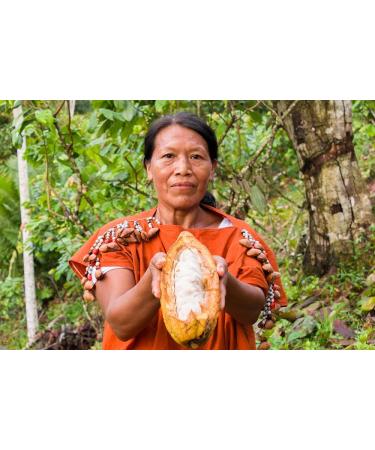 Organic Ceremonial Grade Cacao 100% Raw and Pure Cocoa Criollo Variety From The Ashaninka Nomatsigenga Tribes and Farmers located in Satipo in the central rainforest of Peru. 1000g (1Kg) 1.00 kg (Pack of 1) - Buy Online on SooperMarket.com