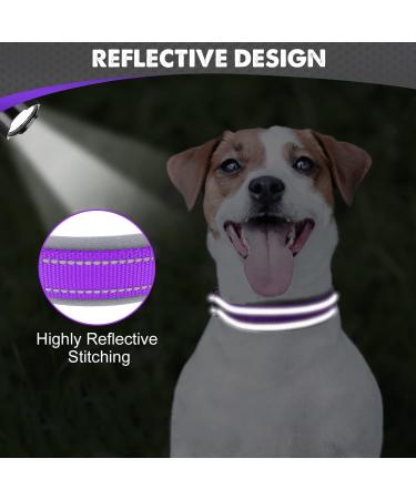 Joytale Softly Padded Neoprene Dog Collar for Small Dogs | Reflective Nylon Wide Collar in Purple - 1 Pack - Buy Online on SooperMarket.com