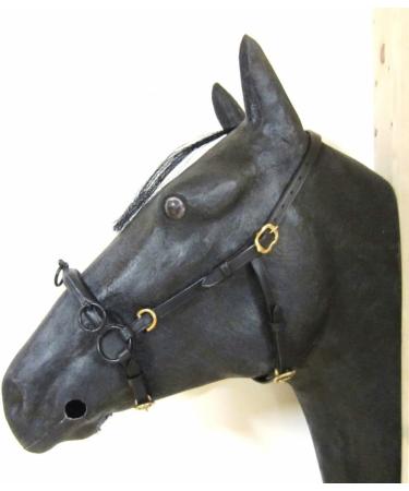 Buy PS Horse French Cavesson Cavecon with D-Rings - Soft Full Brown with Gold Fittings | International Shipping Available - Buy Online on SooperMarket.com