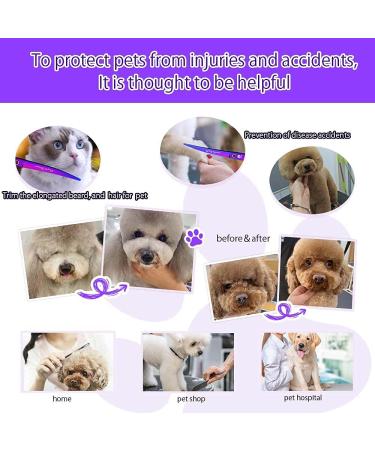 Purple Dragon Professional 7.0 inch 4PCS Pet Grooming Scissors Kit - Premium Japan Steel Straight & Curved Blades with Case - Dog Hair Cutting Shears Set in Electroplating Purple - Buy Online on SooperMarket.com