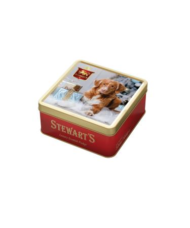Stewart's - Festive Holiday Tin Filled with Luxury Fudge (100g) - Rich Creamy Decadent Velvety Indulgent Melt-in-your-mouth Buttery Smooth Luxurious Delectable Fudge 100g Festive Holiday Tin - Fudge
