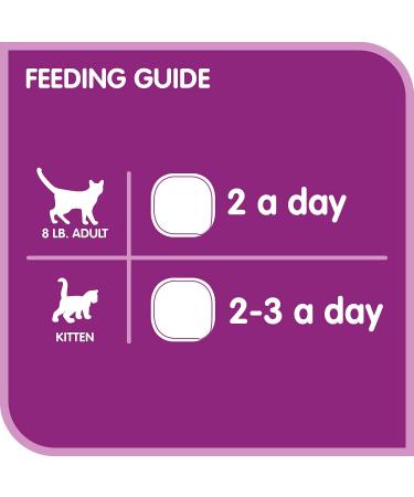 WHISKAS Salmon and Poultry Selections + WHISKAS Meaty Selections Adult Wet Cat Food Pat (36 Pack) Wet Cat Food + Wet Cat Food 12x100g Salmon & Poultry Selections 100 g (Pack of 24) - Buy Online on SooperMarket.com