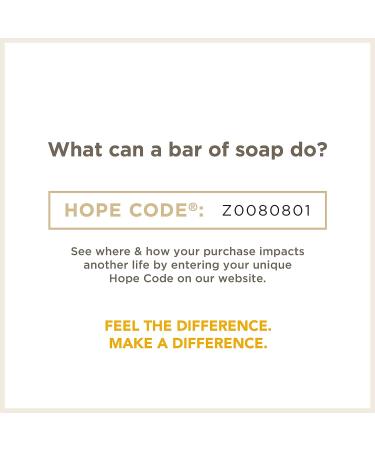Soapbox Foaming Hand Soap - Orange Zest & Fennel, 11oz Pump Bottles (3 Ct) | Moisturizing, Vegan, Cruelty & Paraben Free Hand Wash - Buy Online on SooperMarket.com