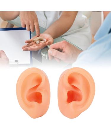 Soft Waterproof Ear Display Model | Simulated Model for Doctors & Centers - Buy Online on SooperMarket.com