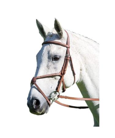 Shires Avignon Mexican Grackle Bridle Full Size Havana