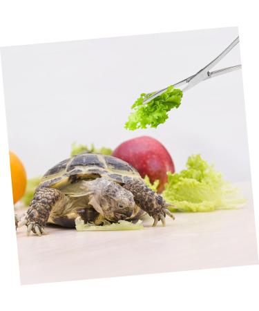 ORFOFE Reptile Feeding Clip Aquarium Pipette Feeding Tools Snake Tong Silver Stainless Steel - Buy Online on SooperMarket.com
