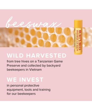 Burt's Bees Honey Lip Balm 4.25g - Moisturizing Natural Lip Balm with Beeswax & Vitamin E - Pack of 1 - Buy Online on SooperMarket.com