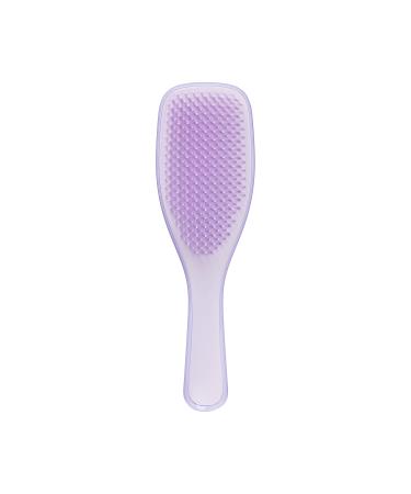 Tangle Teezer | The Fine and Fragile Detangling Hairbrush for Wet & Dry Hair | Color Treated, Fine, Fragile Hair | Hypnotic Heather Hypnotic Heather Fine & Fragile Ultimate Detangler