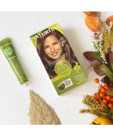 Naturtint 5GC Deep Cinnamon Chestnut Hair Colour - Ammonia-Free, Long-Lasting, Grey Coverage - Buy Online on SooperMarket.com