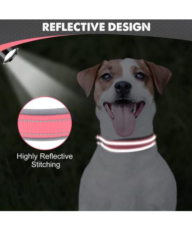 Joytale Softly Padded Neoprene Dog Collar for Small Dogs - Reflective Nylon Pink - 1 Pack - Buy Online on SooperMarket.com