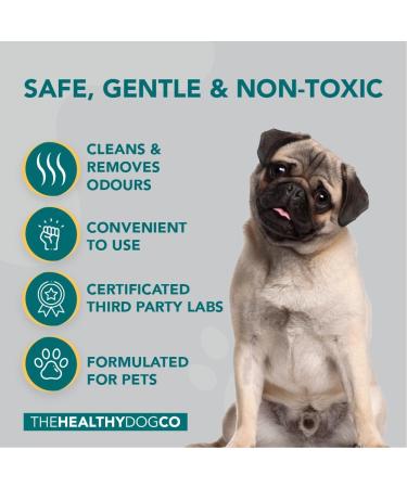 Pet Odour Eliminator: All-Natural Dog & Cat Urine Cleaner - 1 Litre - Buy Online on SooperMarket.com