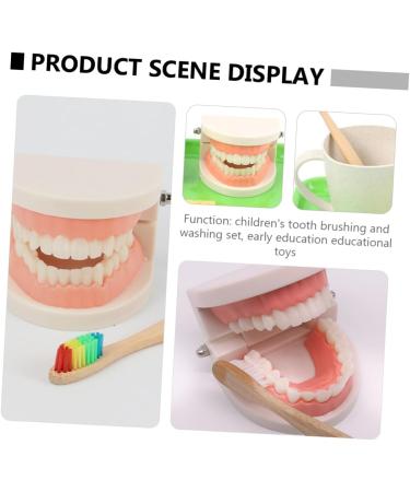 Shop Healvian 3 Sets Early Dental Education Toys - Wooden Denture Model for Kids | Reusable Toiletries - Buy Online on SooperMarket.com