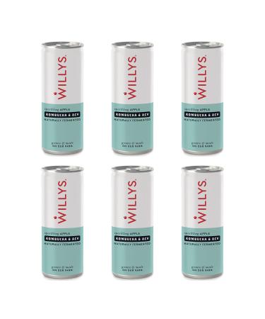 Willys ACV - Willy's Sparkling Apple Kombucha & ACV Drink (Apple Cider Vinegar) 250ml Can - Pack of 6
