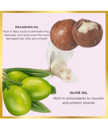 HASK Moisturizing Conditioner with Macadamia Oil - 355ml | Color-Safe Animal Test-Free Ideal for All Hair Types - Shop Now! - Buy Online on SooperMarket.com