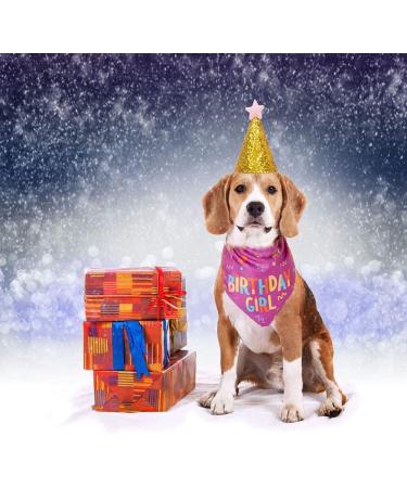 Dog Birthday Bandana Girl Set Pet Happy Birthday Toy Party Triangle Bibs with Cute Biting Bone Scarf Accessory for Small Medium Large Dogs Cats - Pink - Buy Online on SooperMarket.com