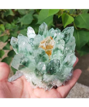 Natural Stone 300-1000g Garden Cluster Natural Green Ghost Quartz Ore raw Gemstone SpecimenHome Decor (Size : 900-1000g) HOMEZHOU (Size : 1.1 1.2kg) - Buy Online on SooperMarket.com
