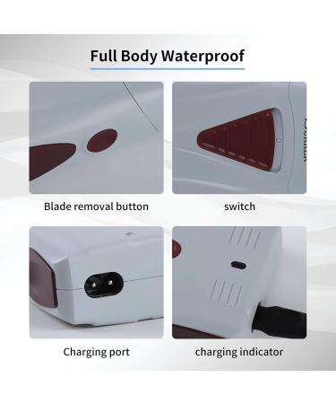 Buy Electric Rechargeable Men's Hair Clipper Trimmer - Double Razors | International Shipping - Buy Online on SooperMarket.com