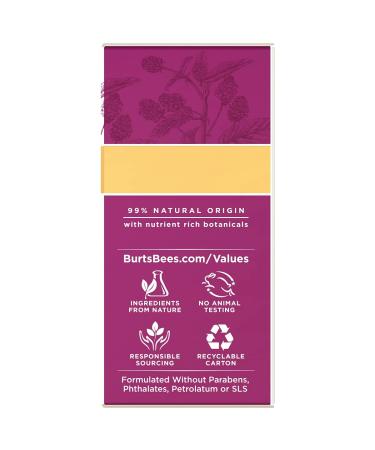 Burt's Bees Retinol Alternative Eye Cream 0.5 oz - Anti-Aging Firming Face Care - Buy Online on SooperMarket.com