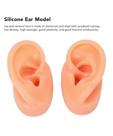 Waterproof Simulated Teaching Ear Model for Doctors - Long Lasting Artificial Ear - Buy Online on SooperMarket.com