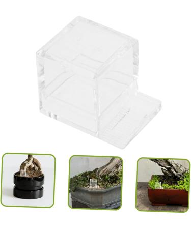 BCOATH Pet Water Feeder Ants Feeding Bowl Ant Feeding Bowl Water Bowl for Ants Mini Liquid Feeder Plastic - Buy Online on SooperMarket.com