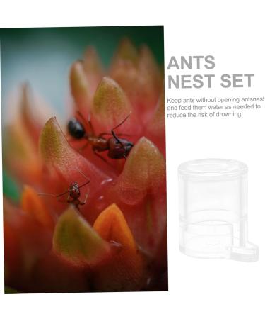 Balacoo 5pcs pet Water Feeder ant Workshop ant Habitat Science ant Castle ant Feeder for ant Farm ant - Buy Online on SooperMarket.com