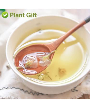 Buy Apple Blossom Flower Tea 50g - Dried Apple Flower Health Tea for Anti-Acne & Freckles - International Shipping Available - Buy Online on SooperMarket.com