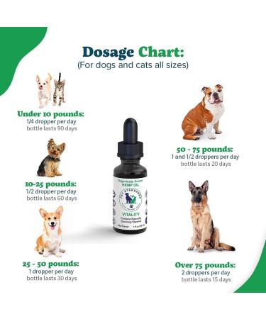 Pet Standards Organic Hemp Oil for Dogs & Cats (1 oz) | Made in USA, Calming Joint & Pain Relief, THC-Free, 3rd Party Tested - Buy Online on SooperMarket.com