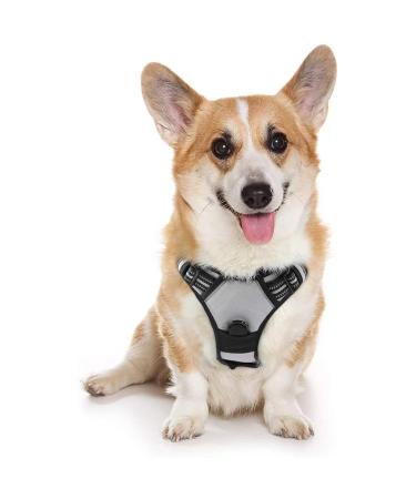 Rabbitgoo dog harness medium -sized dogs anti train crockery dog with control no pull adjustable dog harness large dogs breathable reflex stripes breast harness dog safe guided tour gray m (1 Pack) gray