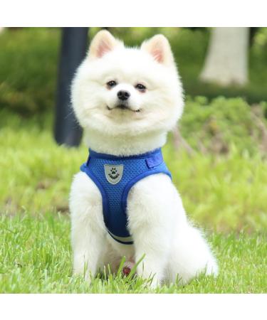 Buy Reflective Soft Padded Dog Harness & Cat Dishes for Small Dogs - Air-Mesh Leash Included | Perfect Fit for Puppies & Cats (Chest 29-33cm) - Blue - Buy Online on SooperMarket.com