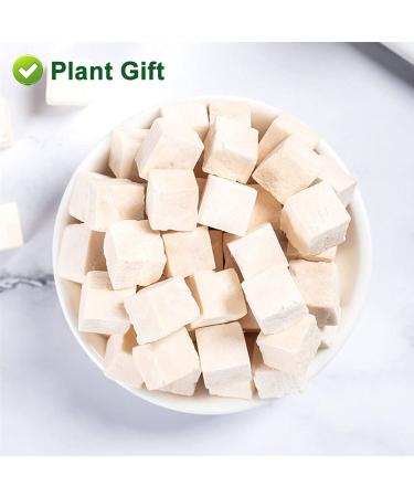 Buy 100% Natural Poria Cocos 200g - Premium Fu Ling Medicinal Herb from China - Dried Bulk for Health Benefits - Buy Online on SooperMarket.com