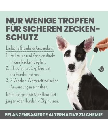 NOMS+ ZPOT-ON Dog Ticket | Annual Supply | Natural Active Ingredients & Saltidin | Protects Against Ticks Mites Fleas & Sand Mosquitoes - Shop Now! - Buy Online on SooperMarket.com