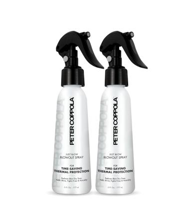 PETER COPPOLA Just Blow - Blow Dry Spray with Heat Protectant - Smoothes and Straightens All Hair Types Conditions and Adds Shine (6 oz 2 Pack) Natural 6 Ounce (Pack of 2)