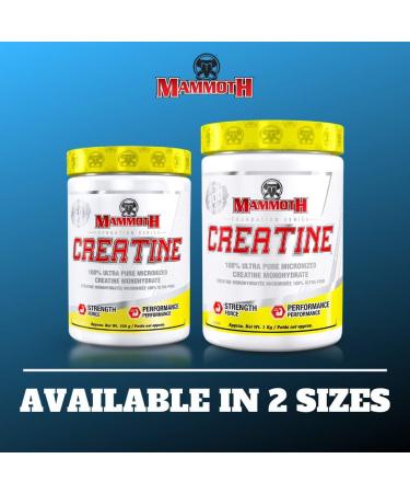 MAMMOTH MASS: Weight Gainer High Calorie Protein Powder Workout Smoothie Shake Meal Replacement & Creatine 300gm SUPPLEMENT + SUPPLEMENT 15331 6.8 kg (Pack of 1) - Buy Online on SooperMarket.com